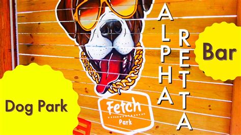 fetch dog park alpharetta|fetch dog park franchise.